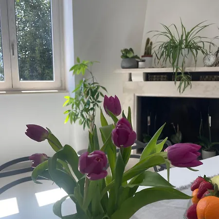 La Casa De Lu Barone Apartment *