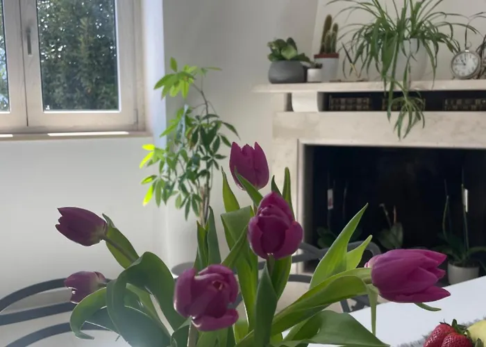 La Casa De Lu Barone Appartement *